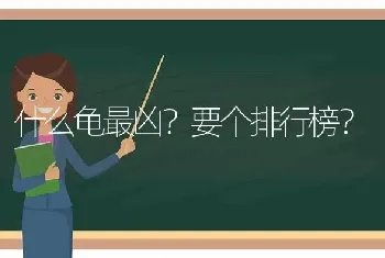 什么龟最凶？要个排行榜？