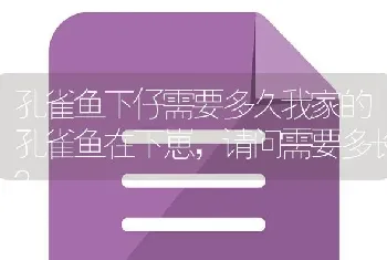 孔雀鱼下仔需要多久我家的孔雀鱼在下崽，请问需要多长？