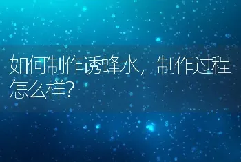 如何制作诱蜂水，制作过程怎么样？