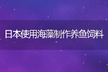 克氏原螯虾的捕捞