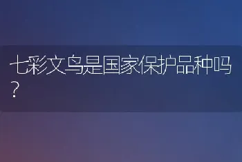 七彩文鸟是国家保护品种吗？