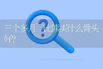 三个多月 比熊买什么骨头好？