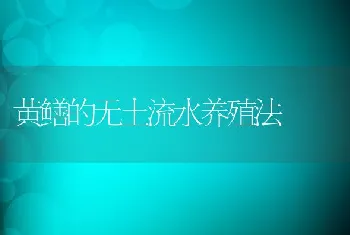 黄鳝的无土流水养殖法