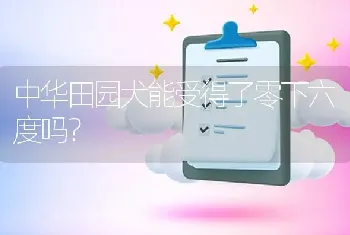 最标准的哈士奇各个部位应该长成什么样？