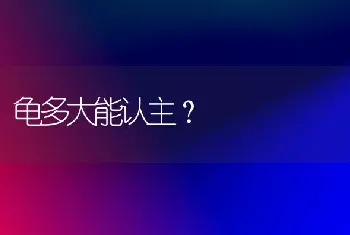 龟多大能认主？