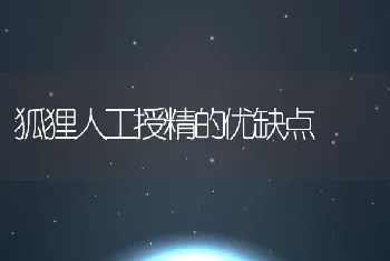 狐狸人工授精的优缺点