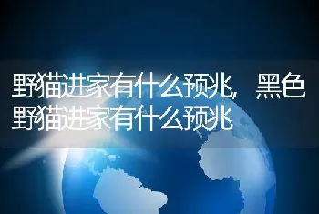 小乌龟的生活习性，小乌龟的生活特征以及喜好