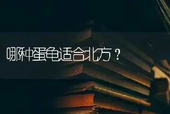 哪种蛋龟适合北方？