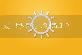 成吉思汗鲨是冷水鱼吗？