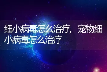 细小病毒怎么治疗，宠物细小病毒怎么治疗