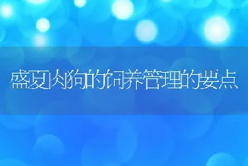 盛夏肉狗的饲养管理的要点