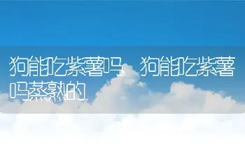 狗能吃紫薯吗，狗能吃紫薯吗蒸熟的