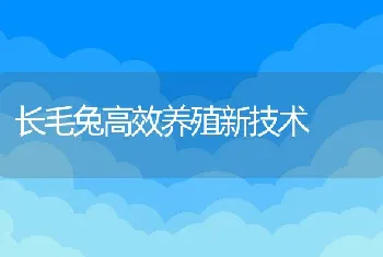 长毛兔高效养殖新技术