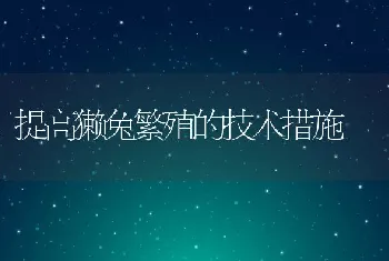 提高獭兔繁殖的技术措施