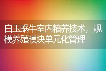 白玉蜗牛室内箱养技术，规模养殖模块单元化管理