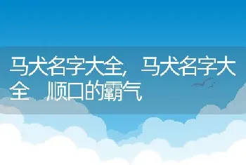 马犬名字大全，马犬名字大全 顺口的霸气