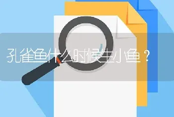 孔雀鱼什么时候生小鱼？