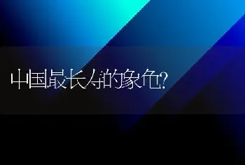 中国最长寿的象龟？