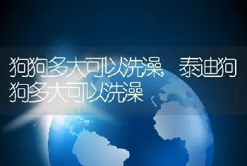 狗狗多大可以洗澡，泰迪狗狗多大可以洗澡