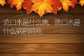 流口水是什么病，流口水是什么病的前兆