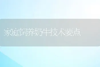 家庭饲养奶牛技术要点