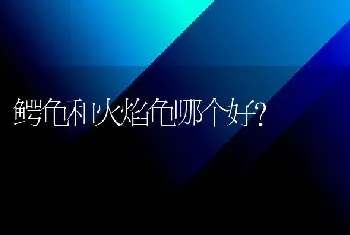 鳄龟和火焰龟哪个好？