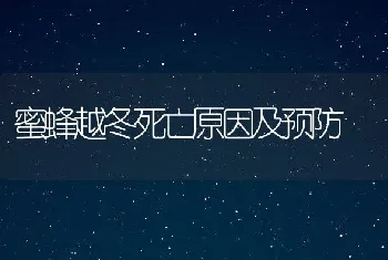 蜜蜂越冬死亡原因及预防