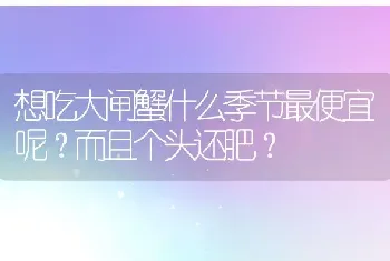 想吃大闸蟹什么季节最便宜呢？而且个头还肥？