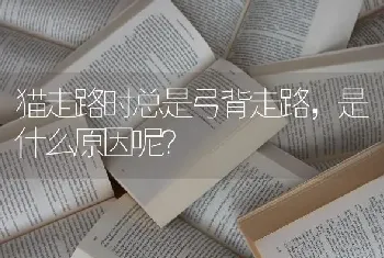 猫走路时总是弓背走路，是什么原因呢？