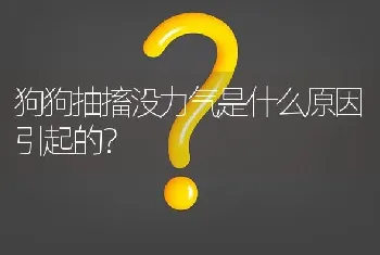 狗狗抽搐没力气是什么原因引起的？