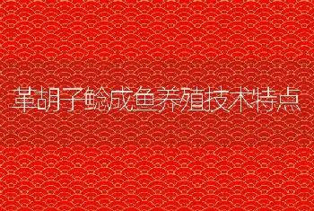 革胡子鲶成鱼养殖技术特点