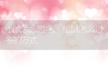 松鼠怎么过冬，松鼠怎么过冬的方式