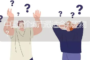 中国哪个城市最适合养宠物？