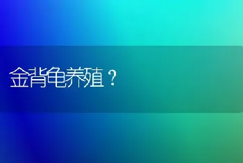 金背龟养殖？