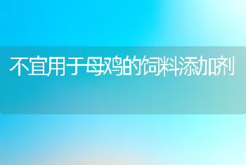 不宜用于母鸡的饲料添加剂