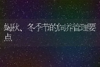 蝎秋、冬季节的饲养管理要点