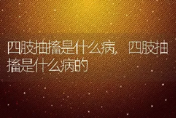 四肢抽搐是什么病，四肢抽搐是什么病的