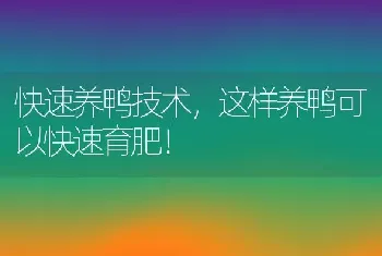 快速养鸭技术，这样养鸭可以快速育肥！