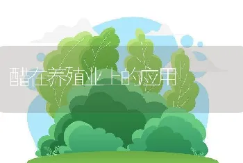 醋在养殖业上的应用