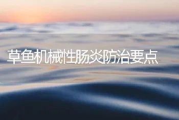 草鱼机械性肠炎防治要点