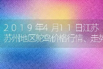 2019年4月11日江苏苏州地区鸵鸟价格行情、走势