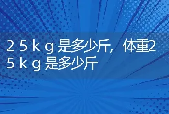 25kg是多少斤，体重25kg是多少斤