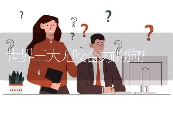 世界三大无咬合力的狗？