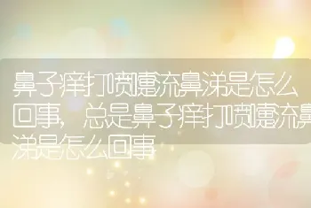 鼻子痒打喷嚏流鼻涕是怎么回事，总是鼻子痒打喷嚏流鼻涕是怎么回事