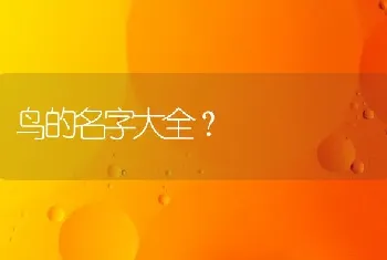 鸟的名字大全？