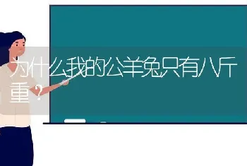 为什么我的公羊兔只有八斤重？