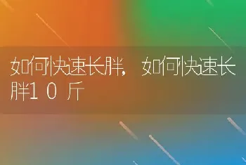 如何快速长胖，如何快速长胖10斤