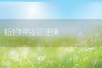 蝎子四季春夏秋冬的管理