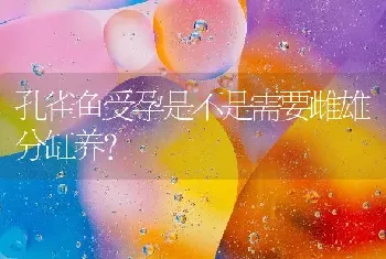 野血皇室有什么品种？