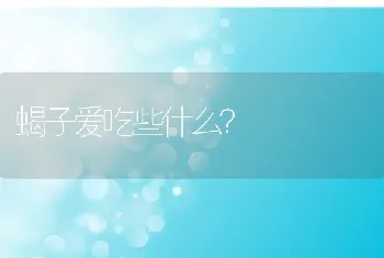 蝎子爱吃些什么？